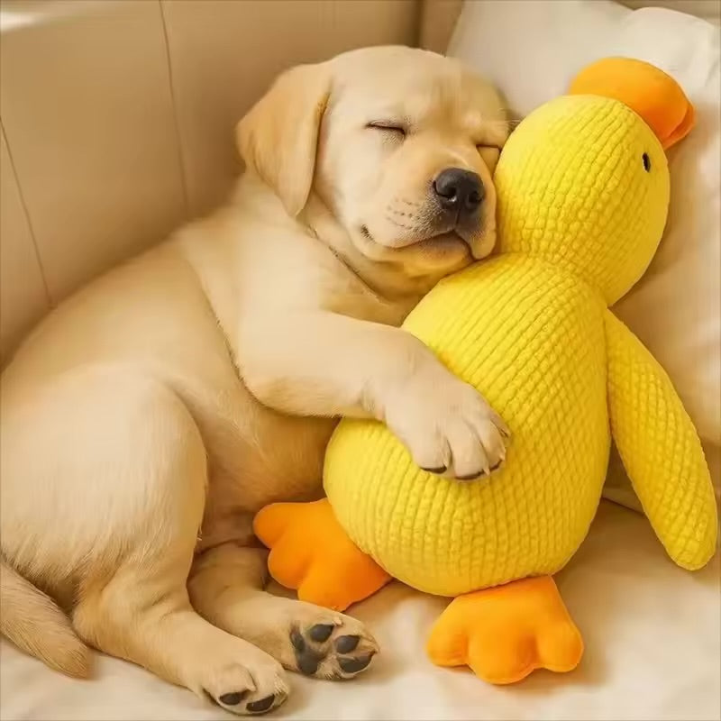 Calming duck toy