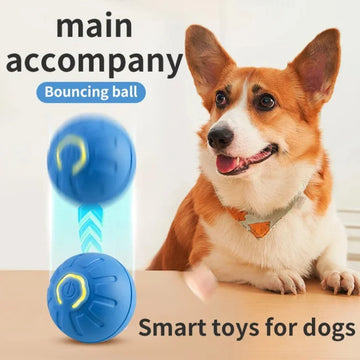 Smart Interactive Pet Moving Ball