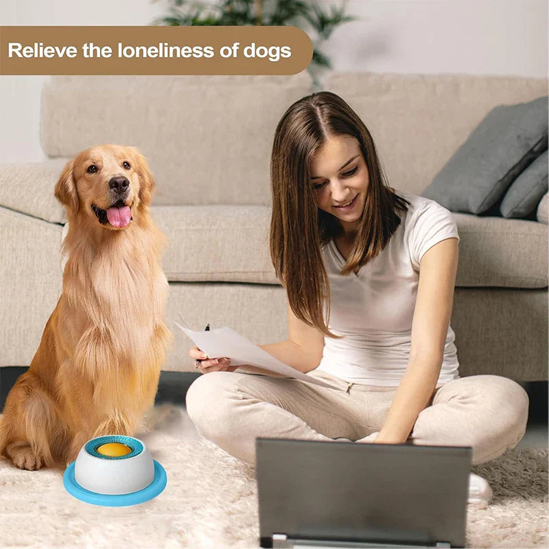 Anti-Spill Licking Ball Bowl